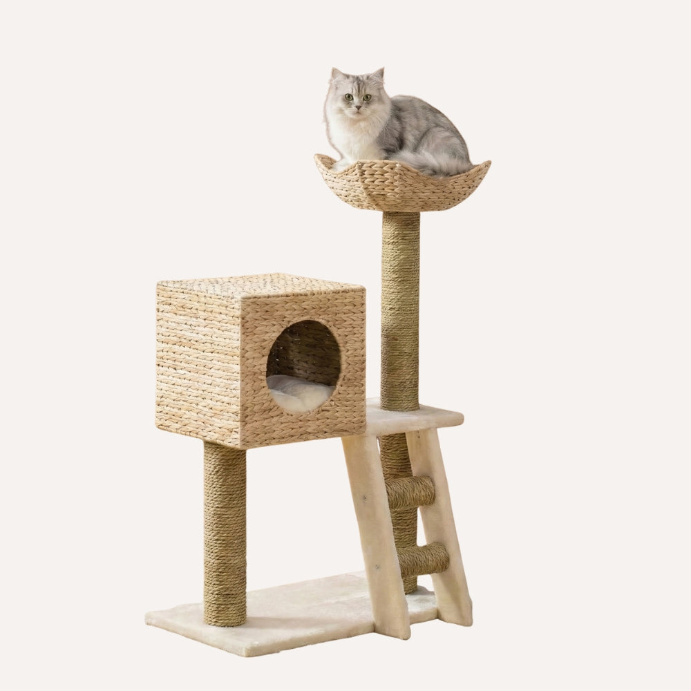 Arbre à chat design bois et fibres naturelles Le Cabanon dans un fond studio blanc  - Chatelier Paris.