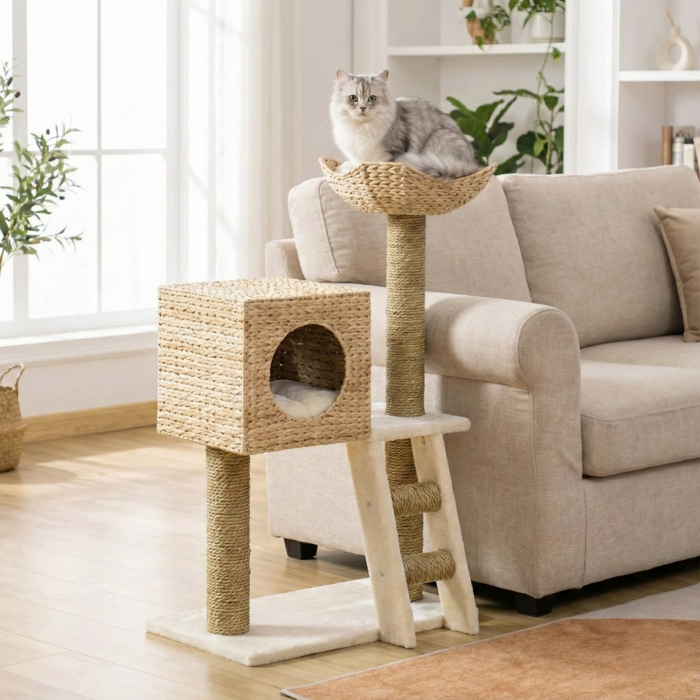 Arbre à chat design bois et fibres naturelles Le Cabanon dans un salon moderne lumineux - Chatelier Paris.