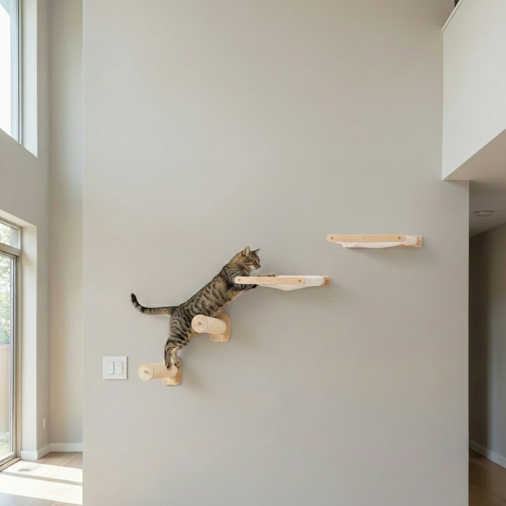 Chat grimpant sur marche escalier mural en bois massif fixation solide.