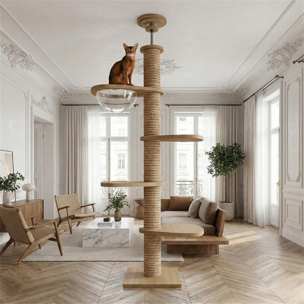 Arbre à chat design bois sol plafond Zénith dans salon moderne