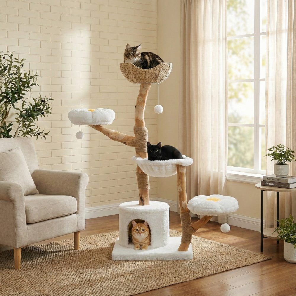 Grand arbre à chat luxe original décoration salon