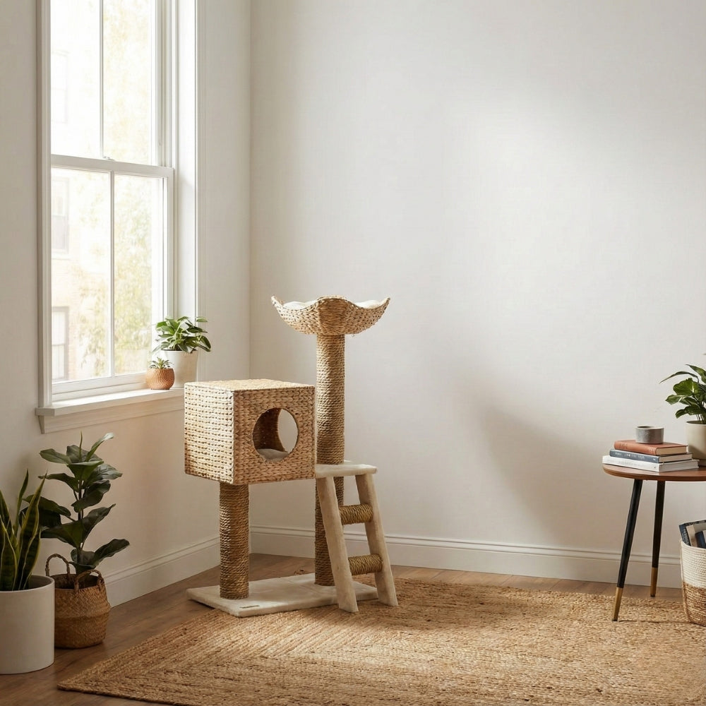 Petit arbre à chat compact en bois tressé idéal pour appartement et petit espace.