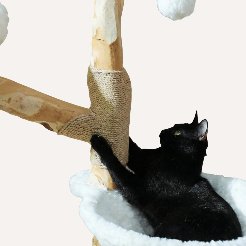 Chat faisant ses griffes sur poteau sisal naturel résistant arbre Eden