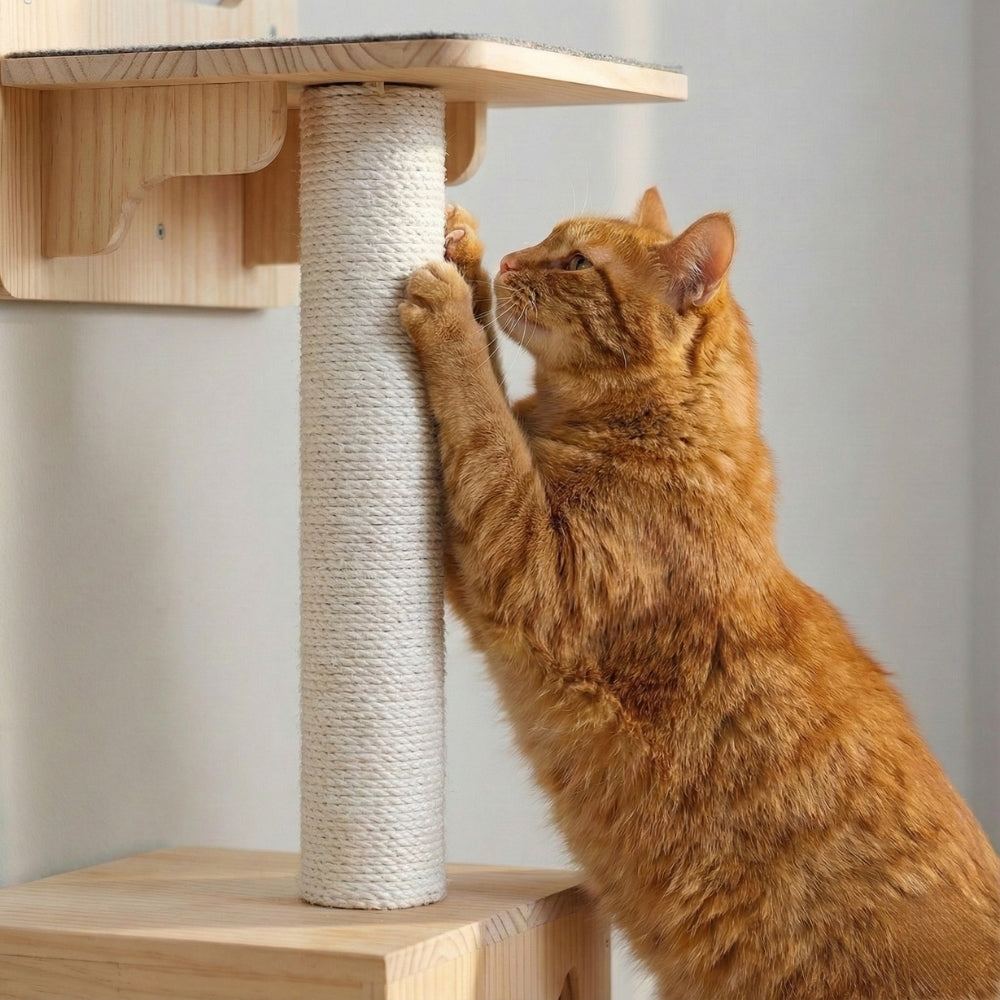Détail qualité bois pin massif et sisal naturel arbre à chat luxe.