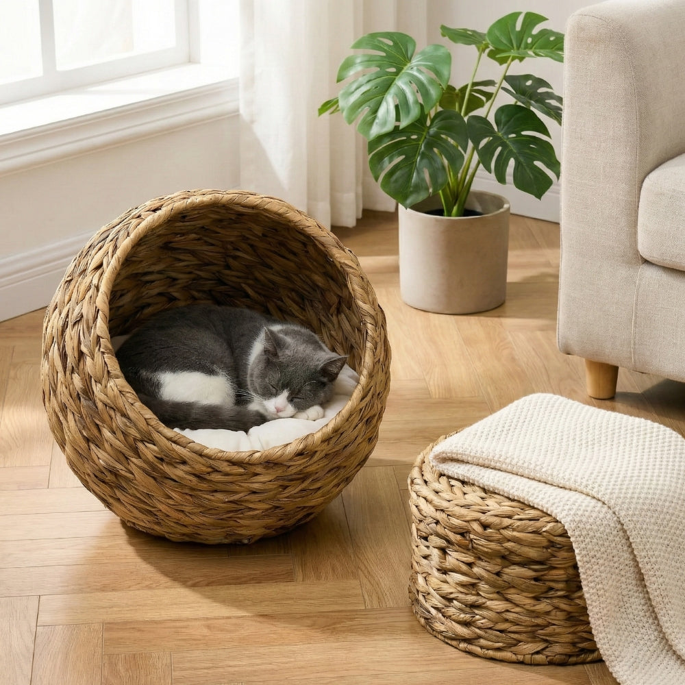 Lit pour chat 2 en 1 avec socle cylindrique et panier séparables.