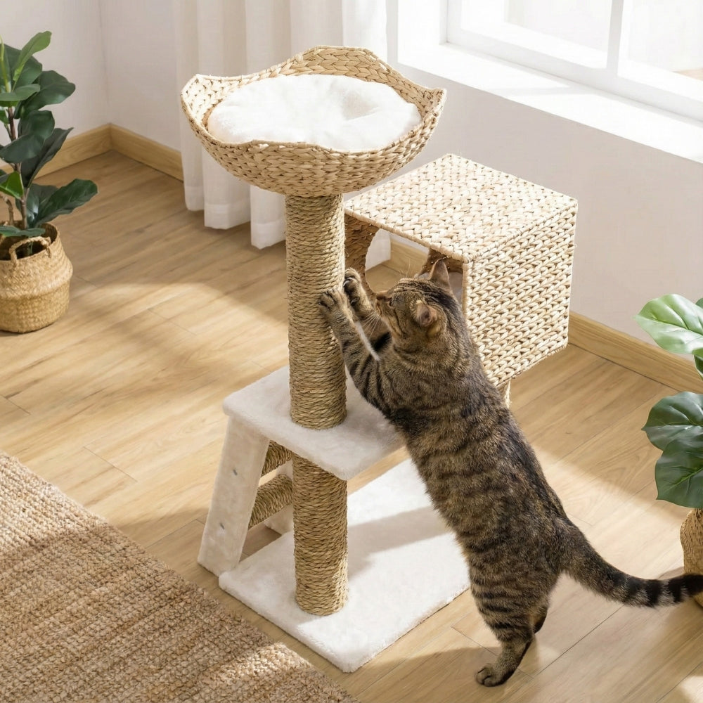 Chat grimpant sur l'échelle de l'arbre à chat Le Cabanon avec griffoir en sisal naturel.