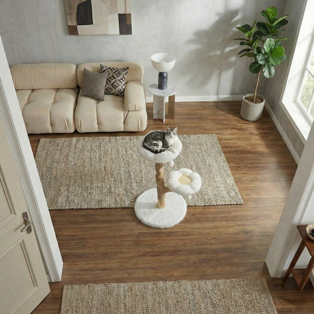 Coussin chat forme fleur confortable vue de dessus