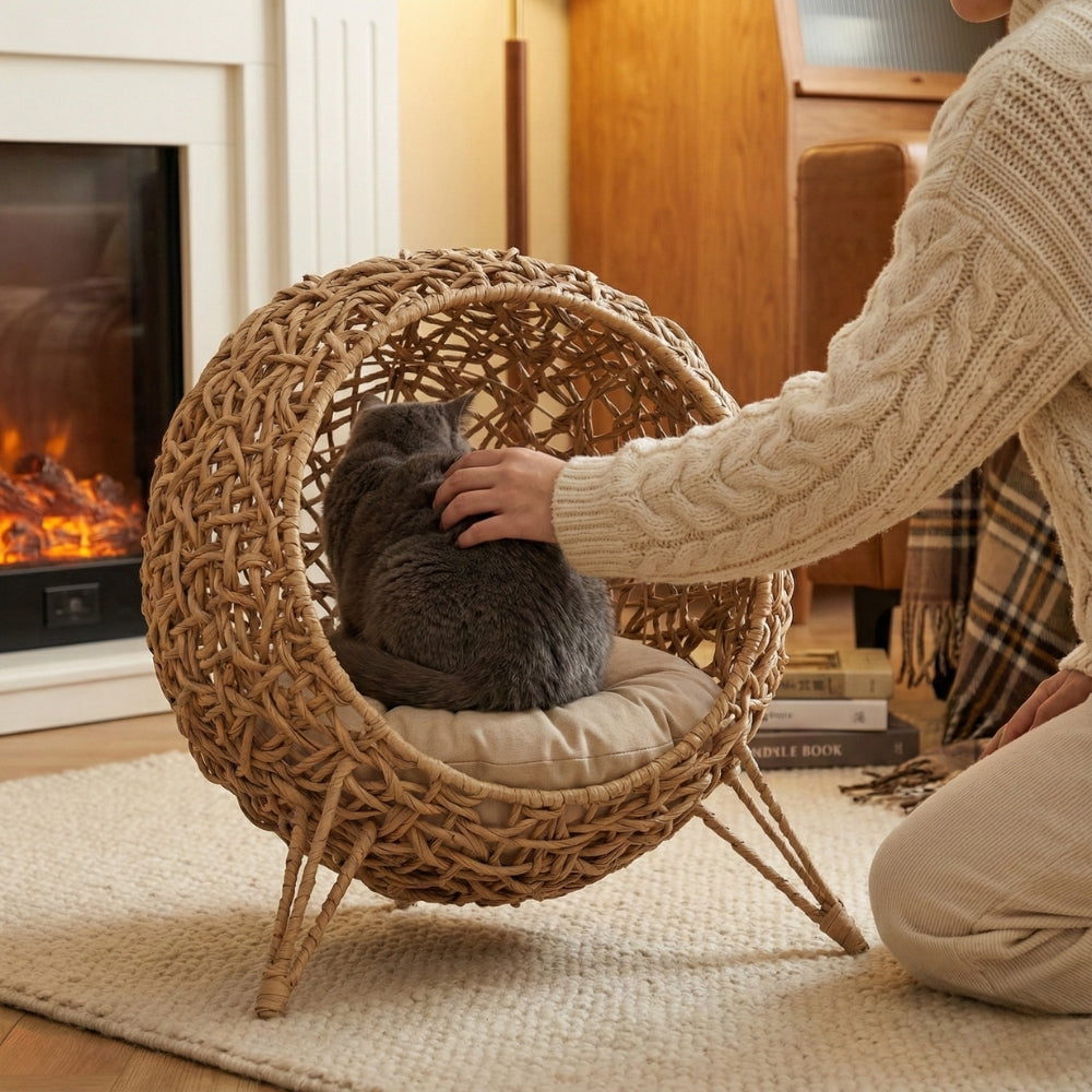 Panier pour chat original et convivial ouvert