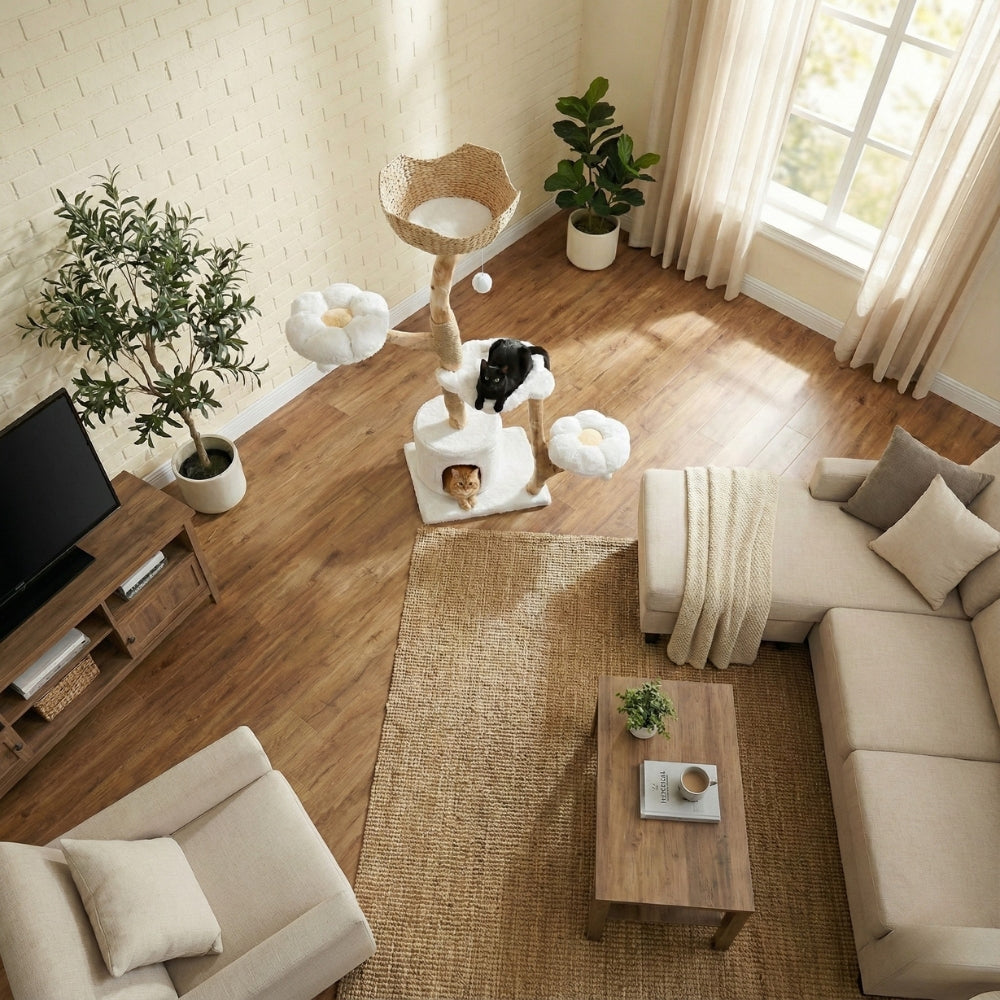 Arbre à chat Maine Coon XXL bois massif design - Modèle Eden