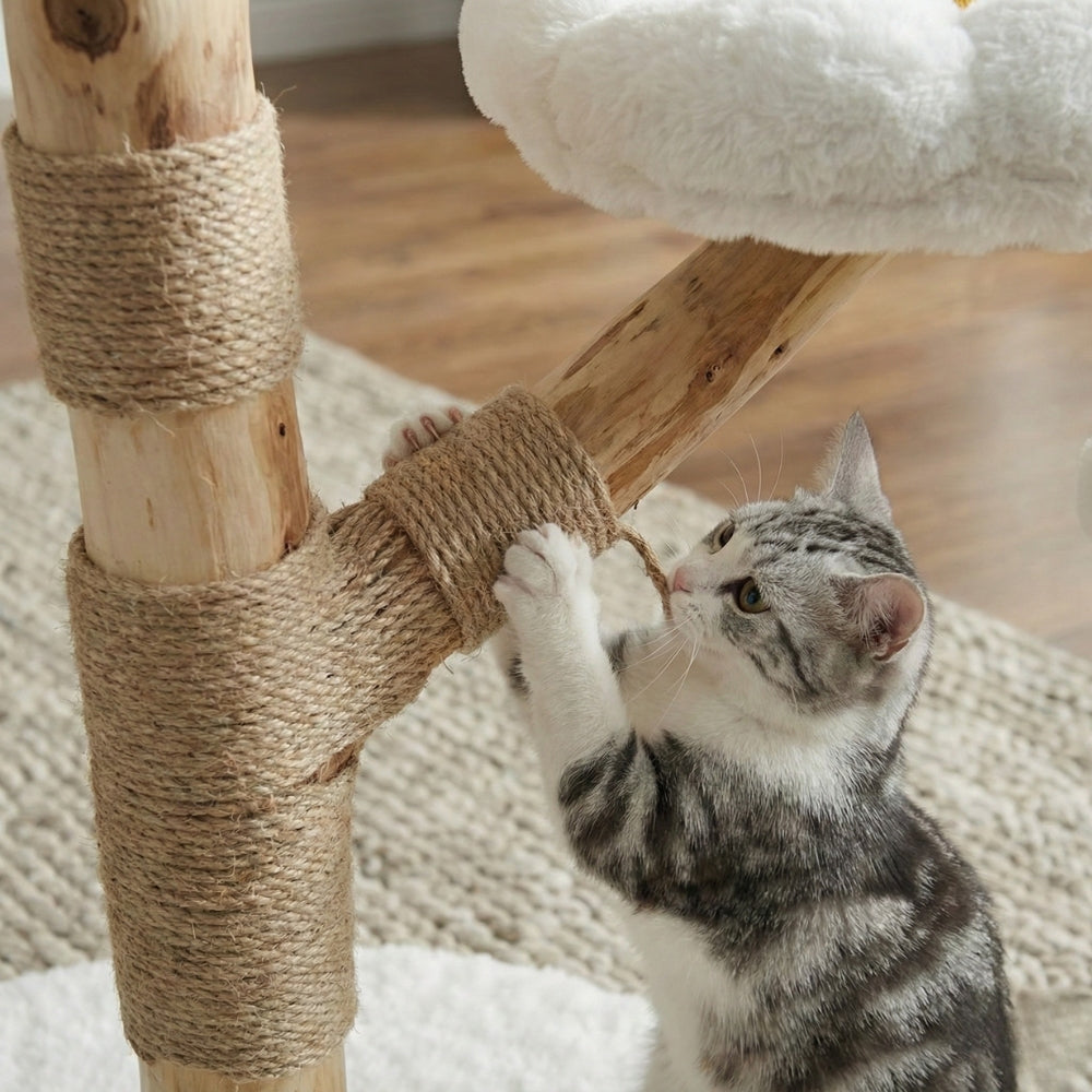 Chat faisant ses griffes sur poteau sisal naturel résistant bois