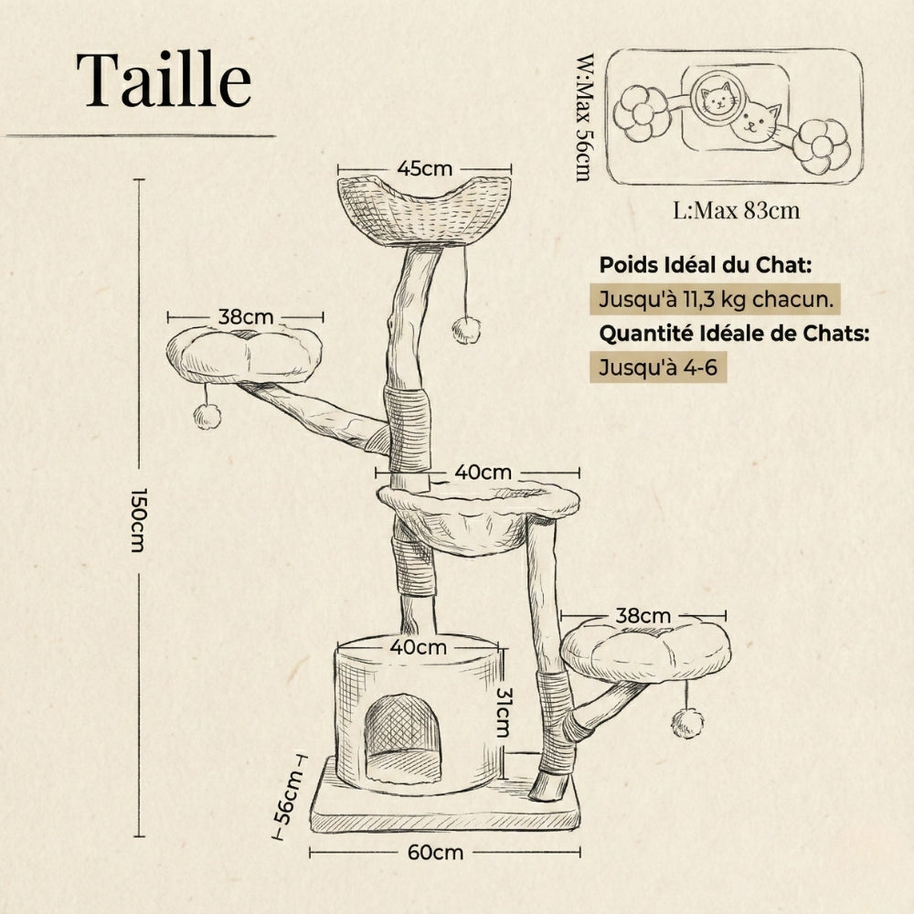Dimensions arbre à chat Eden Hauteur 150cm et emprise au sol