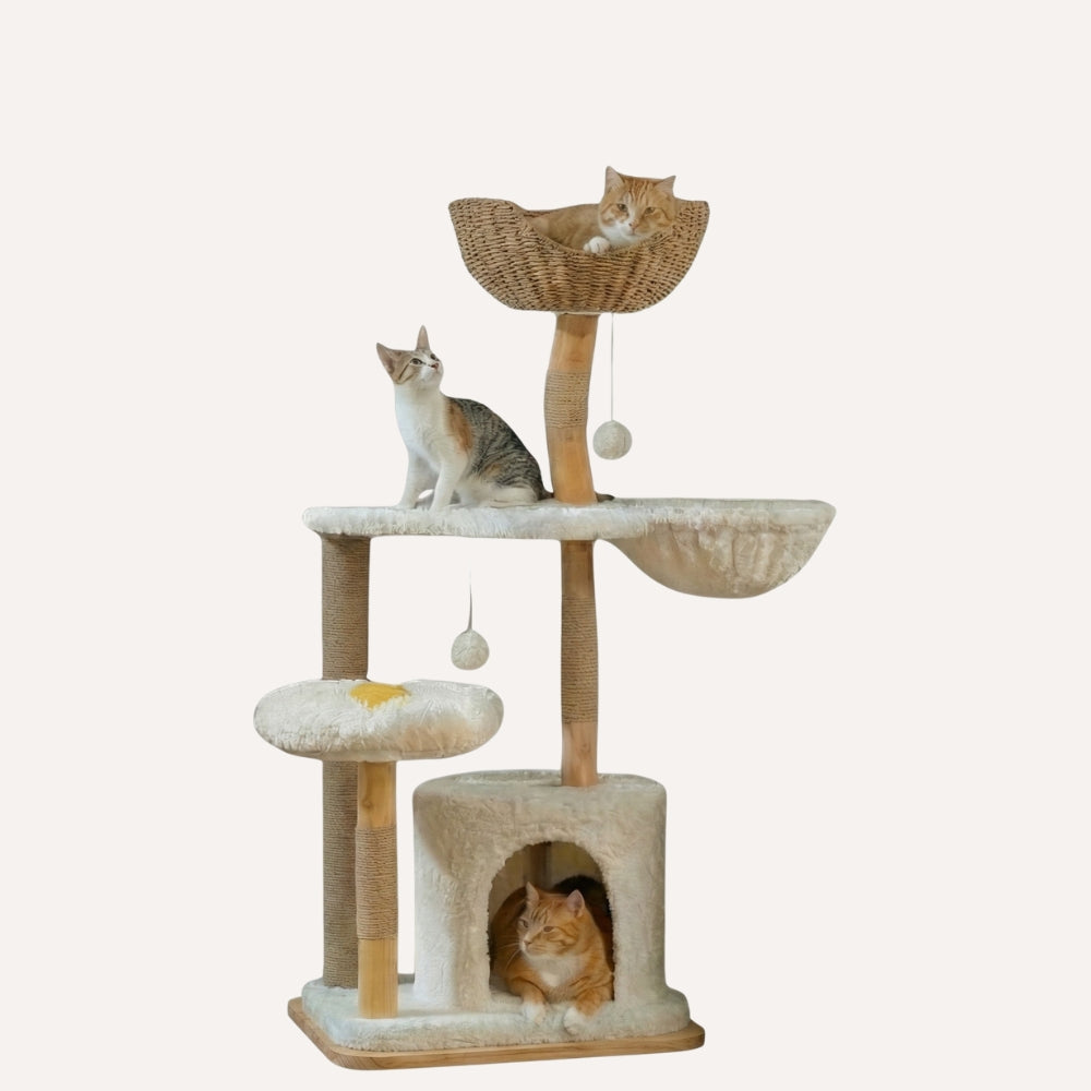 Arbre à chat fleur design bois massif - Modèle Oasis