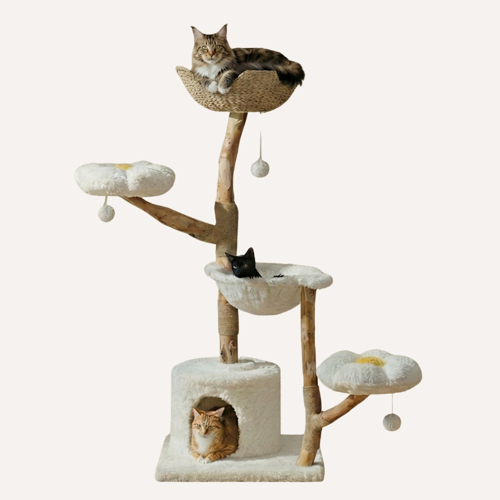 Arbre à chat Maine Coon XXL bois massif design - Modèle Eden